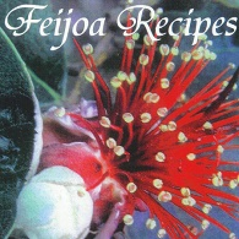 FeijoaRecipes2